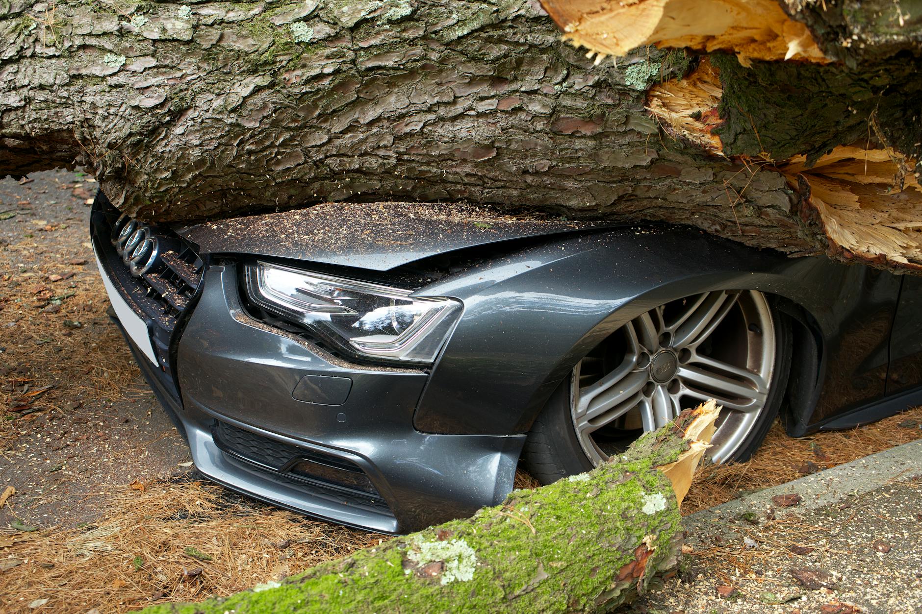 An auto insurance liability and protection visual